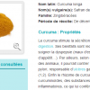 Curcuma