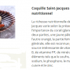 Coquille St Jacques