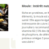 Moules