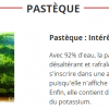 Pastèque