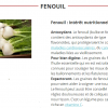 Fenouil